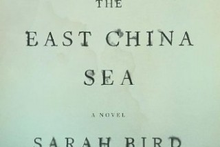 Bird soars to greatness in new novel