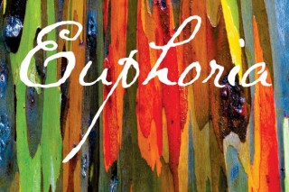 Powerful ‘Euphoria’ reimagines Mead