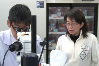 Japan carries out first iPS stem cell implant surgery