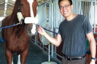 S. Korean horseback rider hopes to conclude career wit Asiad equestrian gold