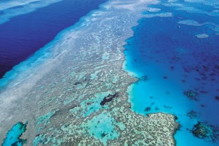 Plan won’t save Great Barrier Reef: Australian scientists