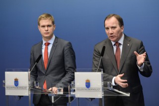 Swedish premier calls snap election Swedish premier calls snap election