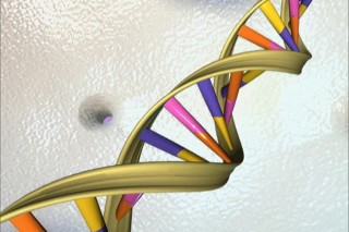 Centers named for cancer-fighting DNA project