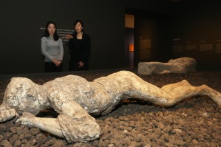 Life and death in Pompeii