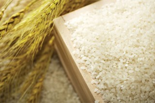 S. Korea set to begin talks on liberalization of rice market