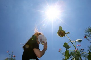 Heat stroke cases surge in Korea