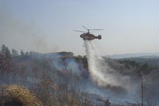 Wildland fire forum to kick off in Pyeongchang