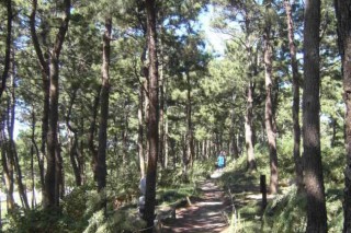 Jeungdo — heal and relax on the beautiful island of angels