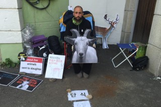 U.S. activist stages hunger strike against animal sales to slaughterhouse