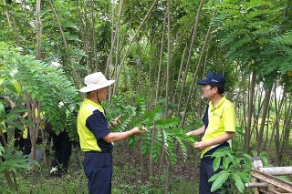 Korea, Indonesia strengthen cooperation in forest industry