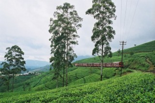 Major tourist hot spots in Sri Lanka