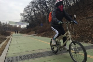 Amphibians in Seoul face increasing risks from bikes, pedestrians