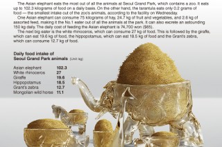 [Graphic News] Asian elephant is zoo’s biggest eater