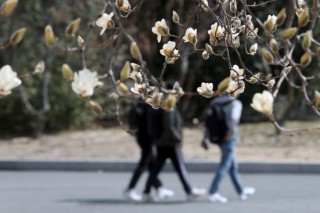 Korean No. 11 most studied language on US campuses