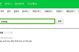 Pwag, zoobs? Naver’s English dictionary contains nonsense, questionable definitions