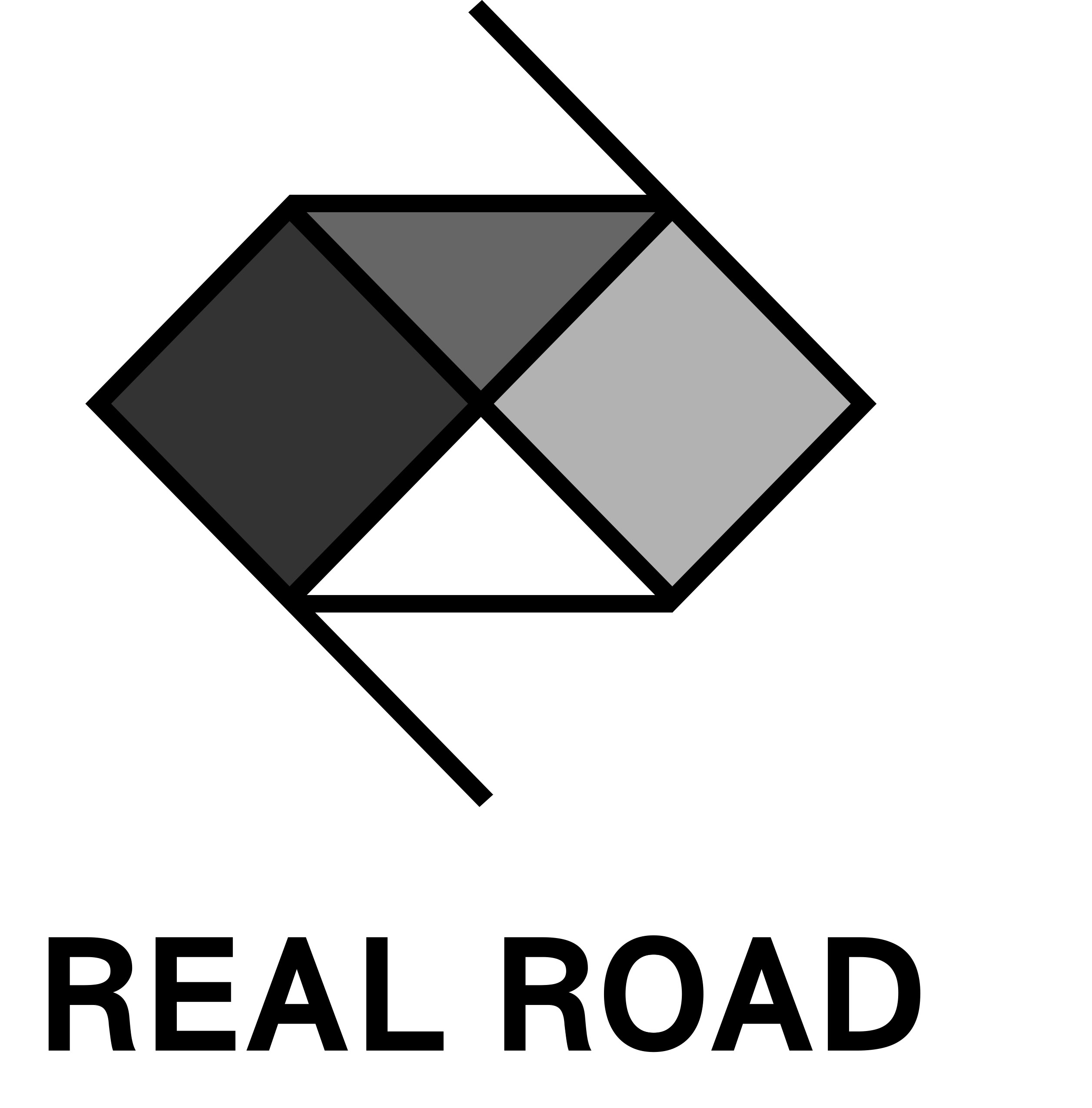 realroad_rogo