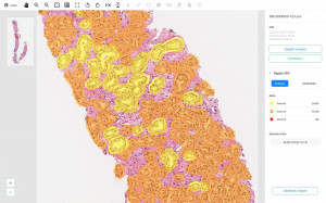 3. DeepDx - Prostate