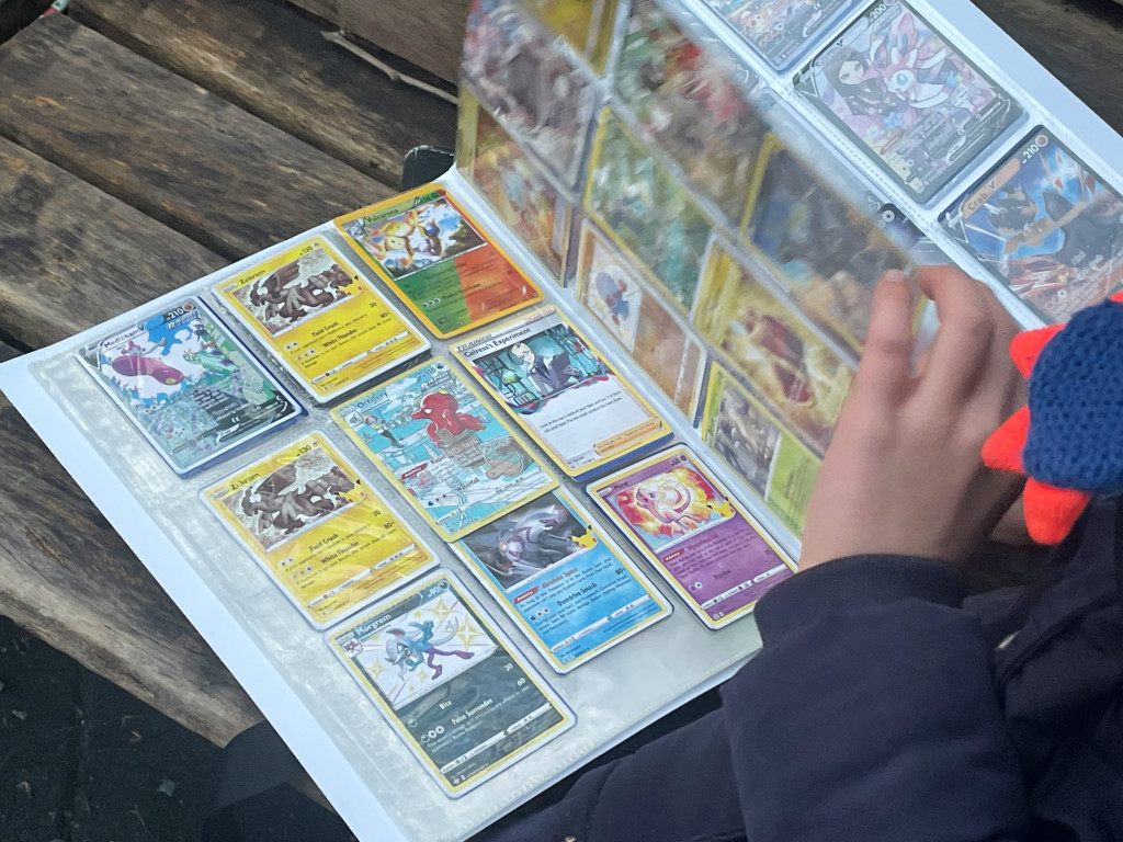 Pokemon cards