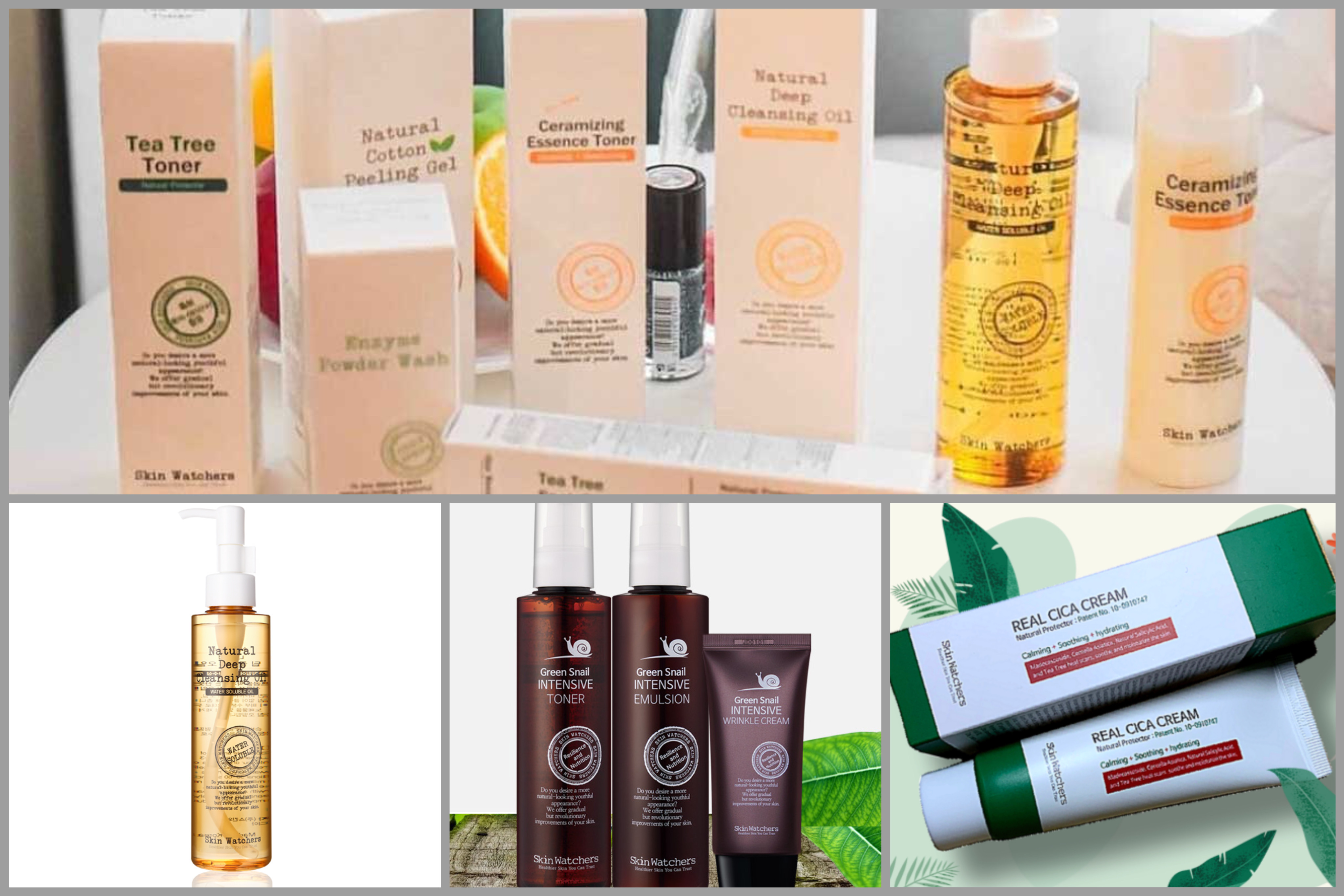 Consumer-focused cosmetics “Skin Watchers”,
