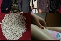 씨클라운, 팬들과 ‘효 이벤트’ 진행 ‘훈훈하네’
