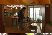 ‘동물농장’ 강원래-김송, 반려견 ‘똘똘이’와 작별…시청자 ‘눈물’