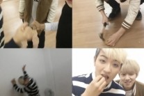 백퍼센트, 정월대보름 맞이 부럼 깨기 대결 ‘맨손으로 호두를..’