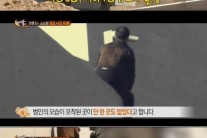 장동건 고소영 별장, 도둑 침입 “CCTV 다 피했다”