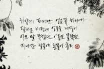 ‘컴백임박’ 박효신, 신곡 ‘야생화’ 가사 일부 기습 공개!