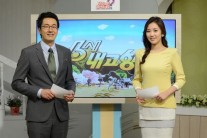 KBS 교양 PD들, ‘6시 내고향’사태 집단 성명과 피켓팅