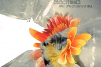 밴드 블랙백, 싱글 프로젝트 두번째 곡 ‘Wake Up Your Beautiful Soul’ 공개
