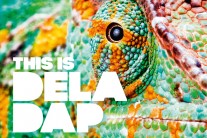 네오월드뮤직 그룹 델라댑, 정규 6집 ‘This is DelaDap’ 국내 발매