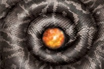 밴드 게이트 플라워즈, 미니앨범 ‘늙은 뱀’ 발매