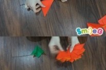스마일지(Smile.G), 스승의날 카네이션 만들기 “선생님 사랑해요”