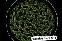 英 DJ 미스터 스크러프, 정규 앨범 ‘Friendly Bacteria’ 발매