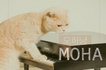 싱어송라이터 모하, 정규 앨범 ‘모하냥’ 발매