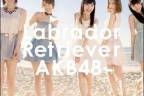 AKB48, 악수회 행사 중 칼부림에 멤버-스태프 등 3명 부상