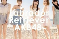 AKB48 악수회 도중 괴한에 칼부림 피습 당해…멤버 2명 및 스태프 3명 부상