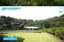 보아, 전원주택 집 공개… 축구장 만한 마당 ‘눈길’