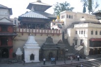 파슈파티나트 힌두 사원(Pashupatinath)