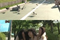 ‘무도’ 박명수-정형돈-노홍철, 도심서 얼떨결에 비둘기 잡기 성공