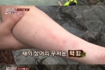 유상무, 촬영 중 상어 부상…제작진 “살짝 긁힌 정도, 위험하지 않아”