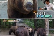 ‘동물농장’ 김상중, 유행어부터 노래까지…“무게감이 달라”