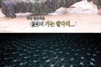 JJCC, 신곡 ‘빙빙빙’ 고난이도 유격 댄스 ‘시선 압도’