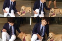 ‘내그녀’ 김진우, 강아지와 다정다감 훈훈 비주얼 ‘의외의 케미’