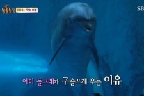 <고승희ㆍ정진영 기자의 채널고정> 일요일 아침을 깨우는 익숙함…장수에는 이유가 있다