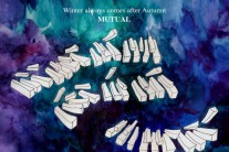 뮤츄얼, ‘Winter always comes after Autumn’발매