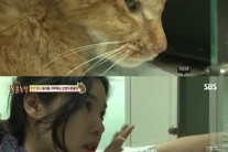 ‘동물농장’ 배다해, 버림 받고 우울증 걸린 고양이 돌봐…누리꾼 감동