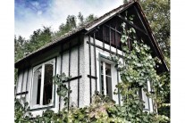 더 플로리안 호워스 앙상블, 데뷔 정규앨범 ‘And Then We Explode’ 발매