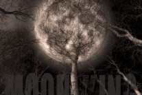 美 싱어송라이터 패트릭 조셉, 정규 2집 ‘Moon King’ 국내 발매