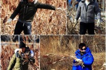 무공해 청정예능 ‘삼시세끼’, 이러다 두자리 시청률 될라